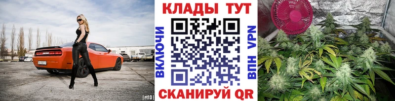 Продажа наркотиков Салаир Cocaine  Конопля  МЕФ  Гашиш 