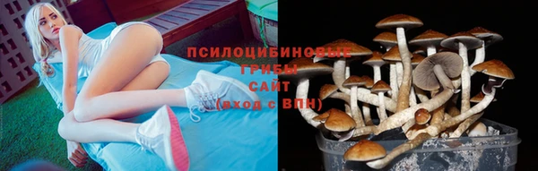 молекула духа Баксан