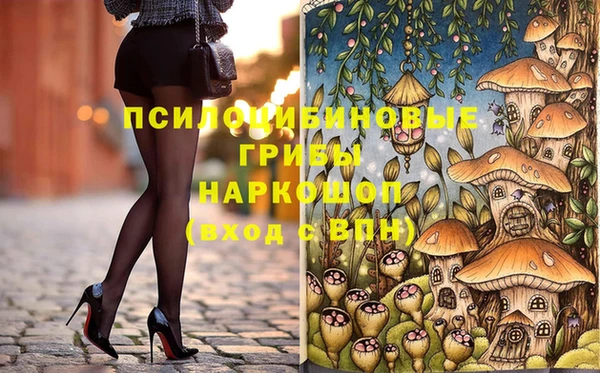 молекула духа Баксан