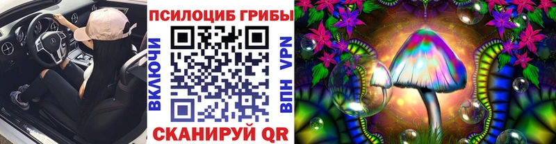 Псилоцибиновые грибы Psilocybe  Салаир 
